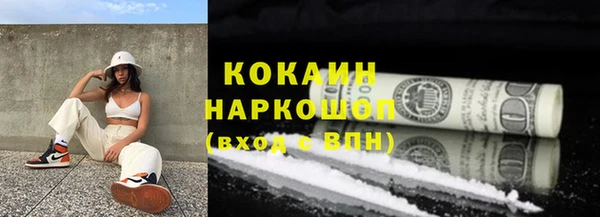 трава Инта