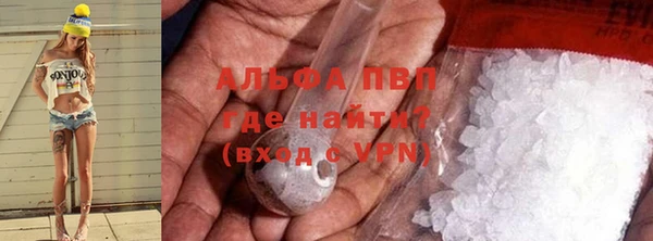 трава Инта