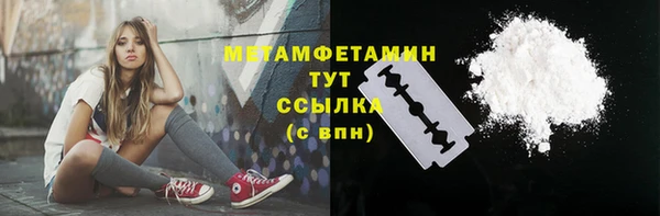 трава Инта
